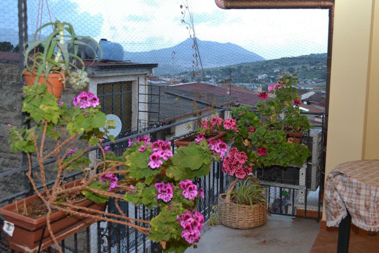 B&B Jolly House Bolognetta Exteriör bild